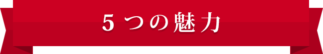 5つの魅力
